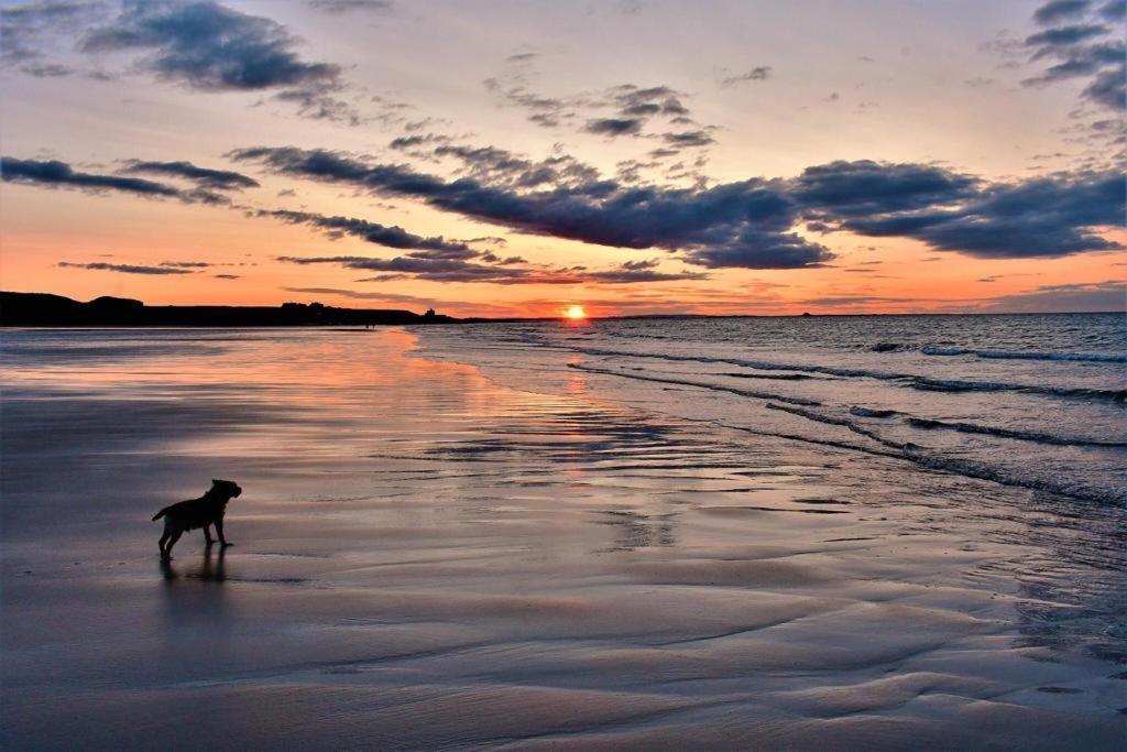 Westlea Guest House Alnmouth Kültér fotó